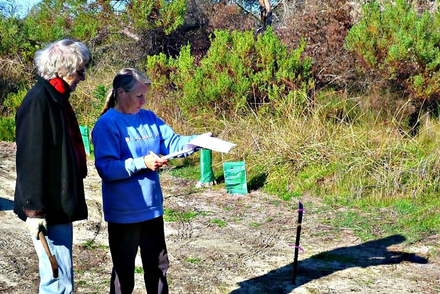 Nancy Fardin and Jenny Rose of The Lake Clifton-Herron Landcare Group mark out the site for rehabilitation.